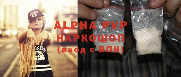 мдпв Каменка