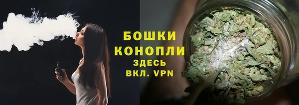 гидра Каменногорск