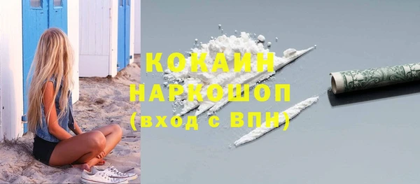 мдпв Каменка