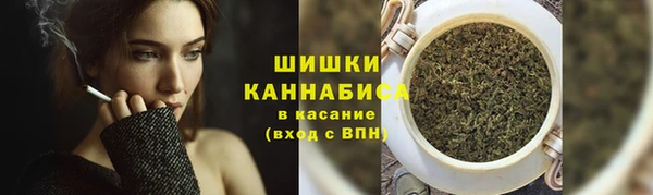 мдпв Каменка