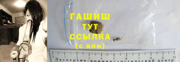 гидра Каменногорск