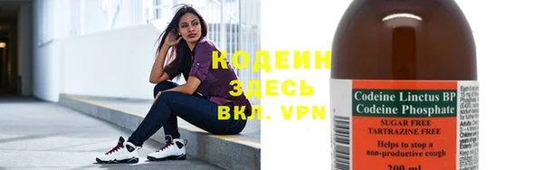 гидра Каменногорск