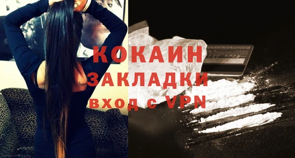 гидра Каменногорск