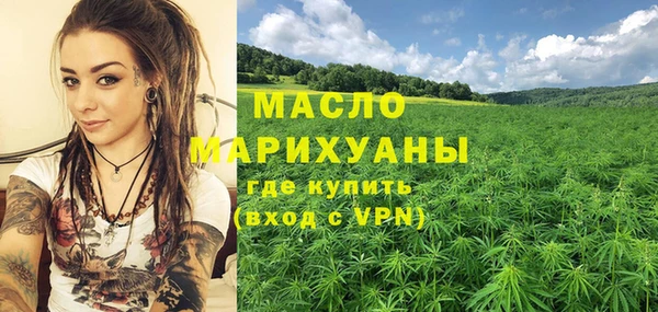 мдпв Каменка