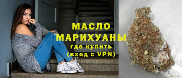 гидра Каменногорск