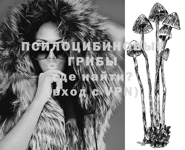 бутират Касимов