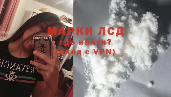 гидра Каменногорск