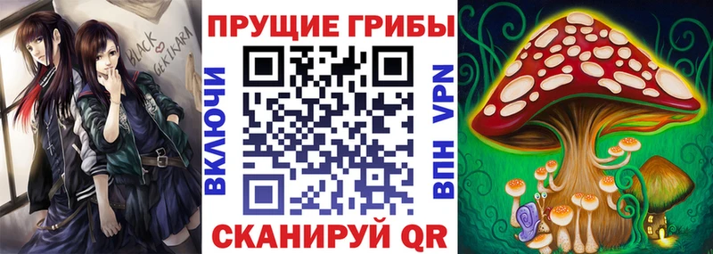 Купить закладки Искитим Псилоцибиновые грибы Magic Shrooms